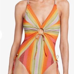 Robin Piccone Striped Swimsuit